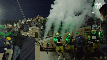 Run Out Notre Dame GIF by Notre Dame Fighting Irish