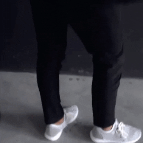 GIF by The Animal Pack