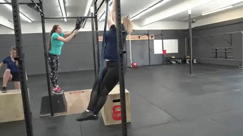 Top 5 Best Calisthenics Back Exercises 10 giphy
