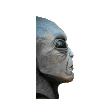 Sticker by kētokēto