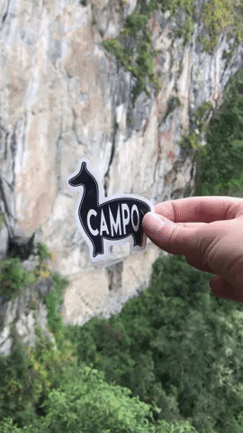 Mountain Alpaca GIF by Campo Alpaca, Inc.