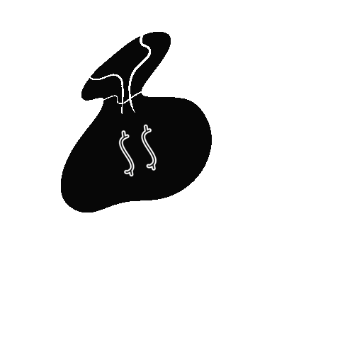 Money Sticker