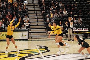 volleyball spike GIF by Black Hills State University