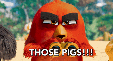 pigs GIF by Angry Birds Movie