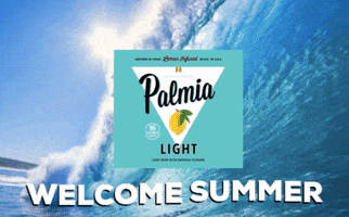 Light Beer Drinking GIF by Palmia Beer