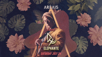 AREA15 GIF
