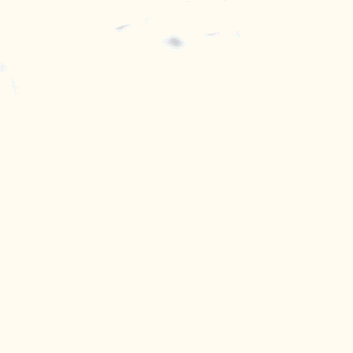 SBXLife GIF