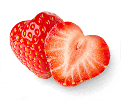 castrawberries GIF