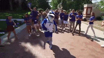 Billy Bluejay Dancing GIF by Creighton University