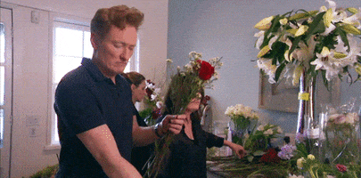 Valentines Day GIF by Team Coco