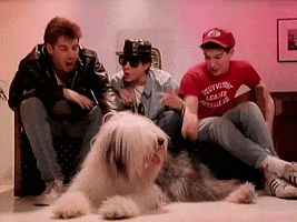 Mike D Dog GIF by Beastie Boys