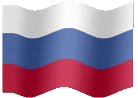 flag russia GIF
