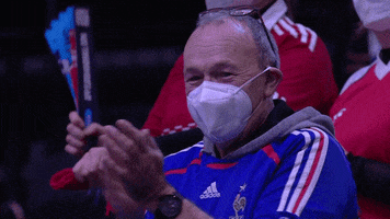 France Win GIF by EHF