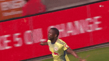 Happy Red Bulls GIF by Major League Soccer