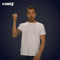 G D GIF by SWR3
