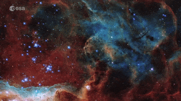 Large Magellanic Cloud Stars GIF by European Space Agency - ESA