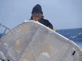 James Feldkamp GIF