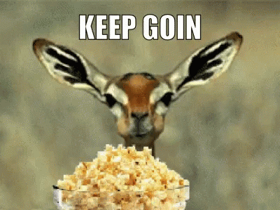 Giphy - Go On Popcorn GIF by swerk