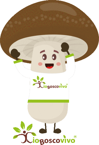 IoBoscoVivo Sticker