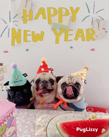 New Year Pug Party GIF