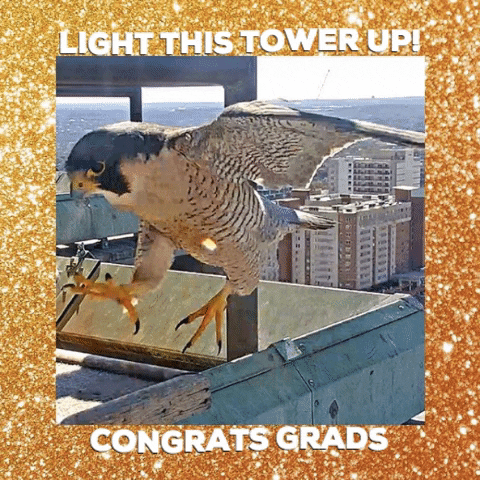 Texas Graduation GIF by College of Natural Sciences, UT Austin