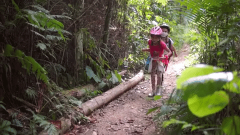 Blumenau Trekking GIF by Greenplace TV - Find & Share on GIPHY