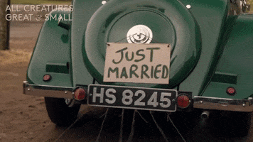 Just Married Love GIF by All Creatures Great And Small