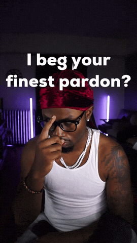 Excuse Me I Beg Your Pardon GIF