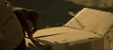 horror thriller seven the box whats in the box GIF