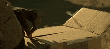 horror thriller seven the box whats in the box GIF