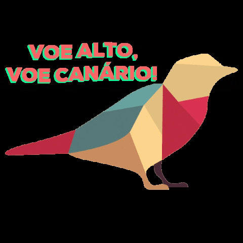 Canario GIF by Canário Marketing