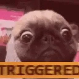 giphy.webp?cid=ecf05e47zq4rpf67zmp1c4xn0