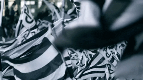 Sturmgraz Nordkurve GIF by SK Sturm - Sturmgraz Nordkurve GIF by SK Sturm