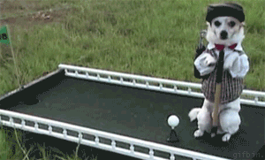 Pup Golfing GIF