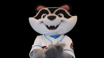 Clapping Sprocket GIF by Rocket City Trash Pandas
