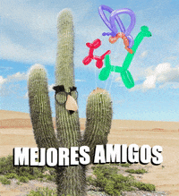 Mi-amigo GIFs - Get the best GIF on GIPHY