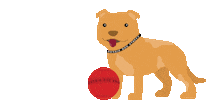 Aussie Dog Products Sticker