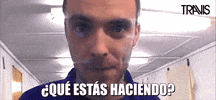 Que Pasa Spanish GIF by Travis