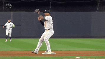 New York Yankees Win GIF by MLB