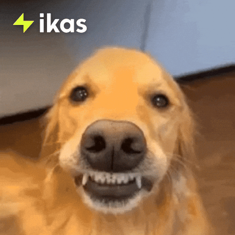Happy Good Boy GIF by ikas