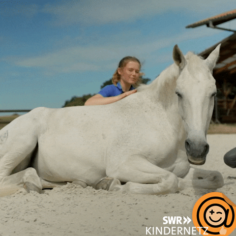 Sun Horse GIF by SWR Kindernetz