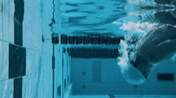 Pool Rotate GIF by AIRFIT