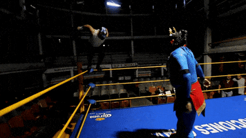 Wrestling GIF