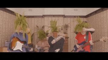 live music dancing GIF by Polyvinyl Records
