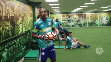 bola jailson GIF by SE Palmeiras