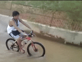 Hong Kong Bicycle GIF