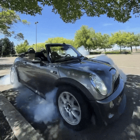 Silchukgif GIF