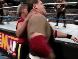 Wrestlemania Viii Sport GIF by WWE