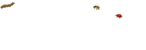 Metropole Rouen Normandie Sticker