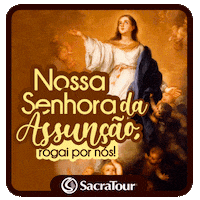 Nossa Senhora Maria GIF by Sacratour